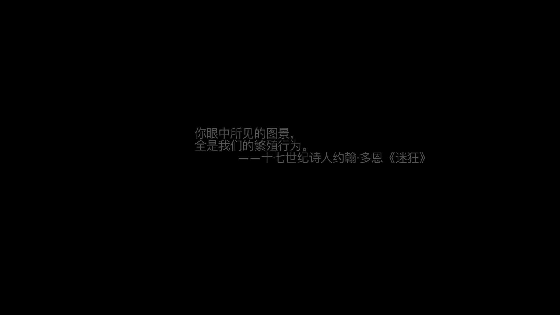 摄影师果哥出品芭蕾舞<script src=